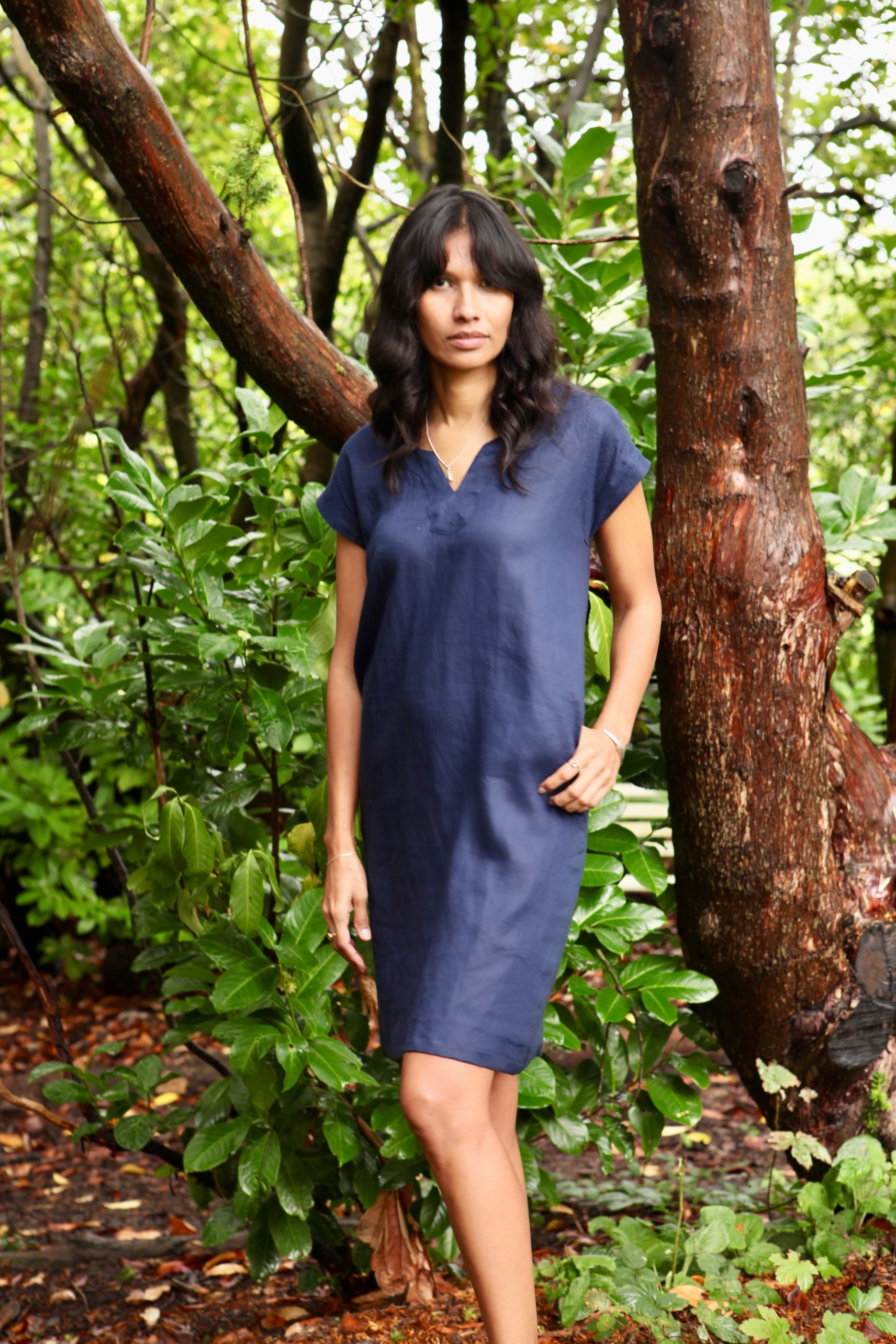 #color_Midnight Blue