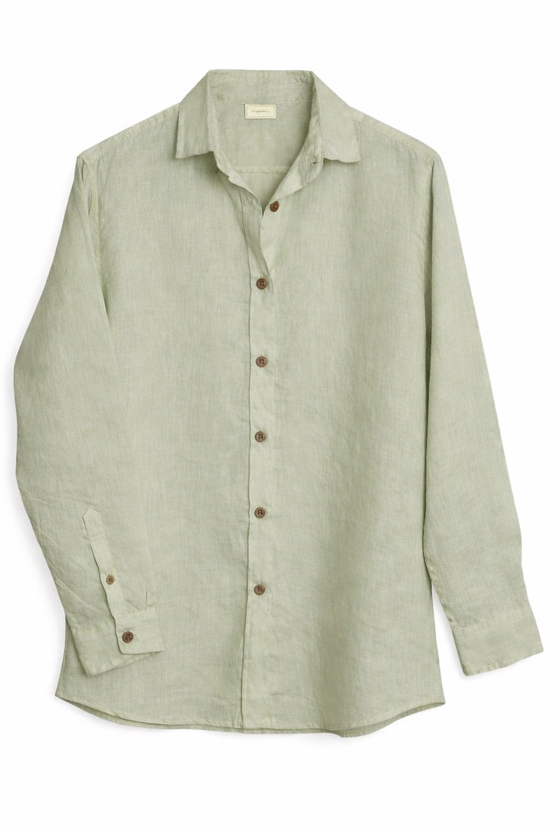 #color_Olive Green