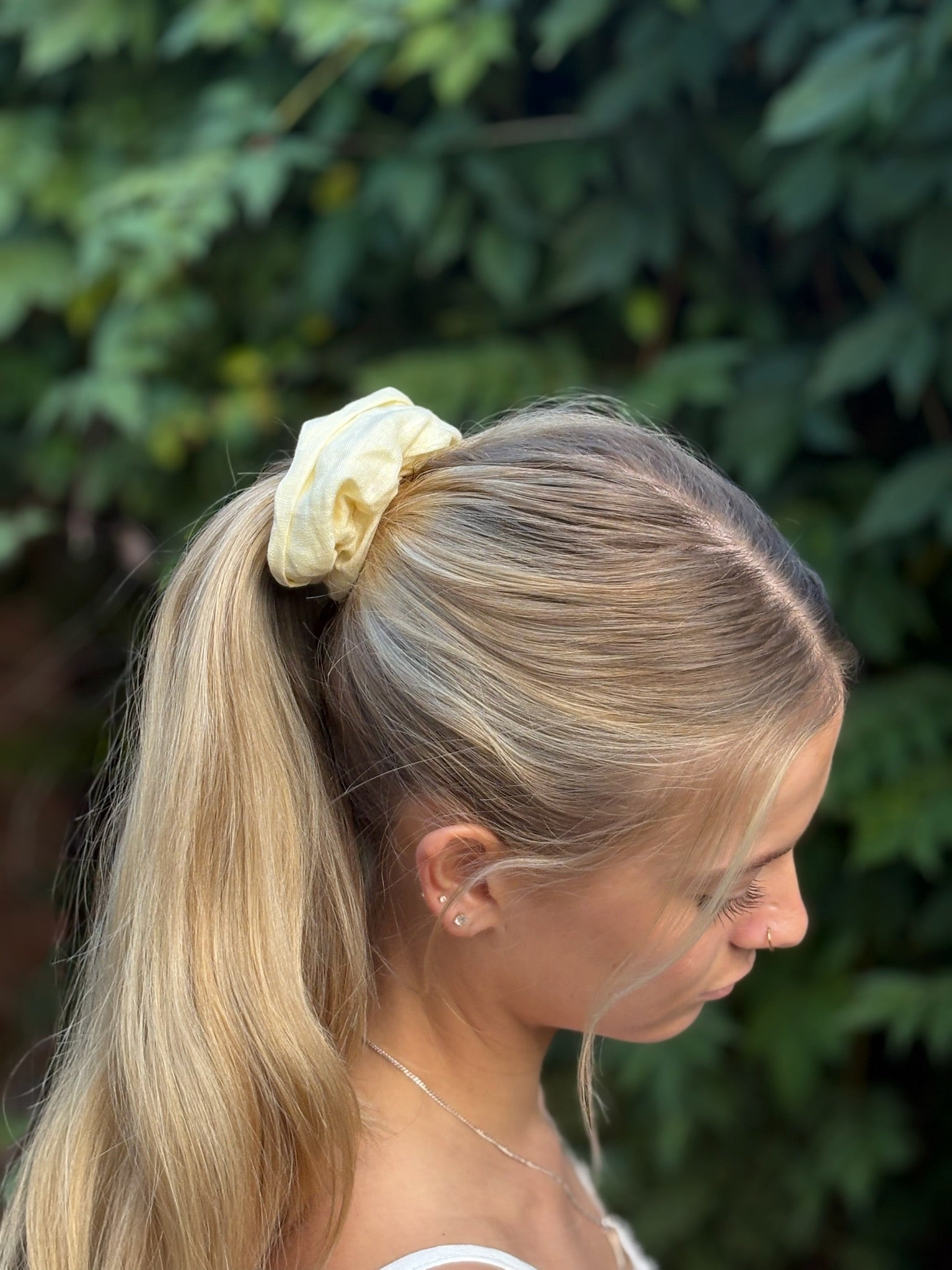 #color_Primrose Yellow